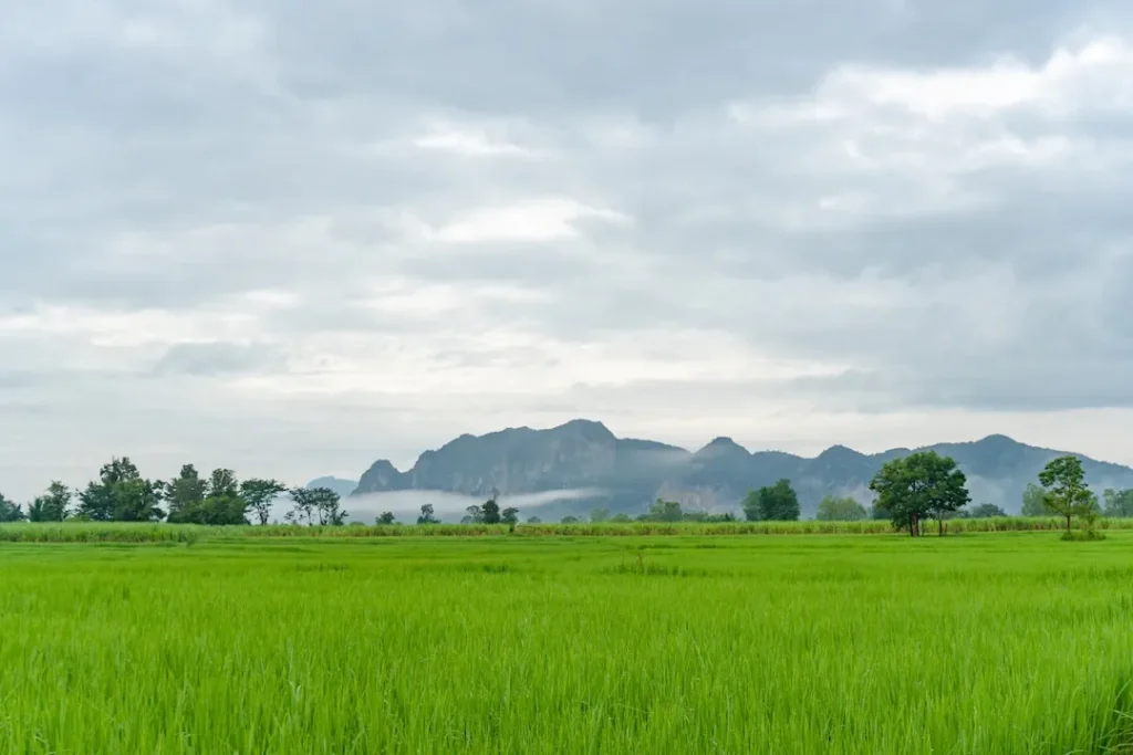 イサーン地方の風景（出典：Adobe Stock）